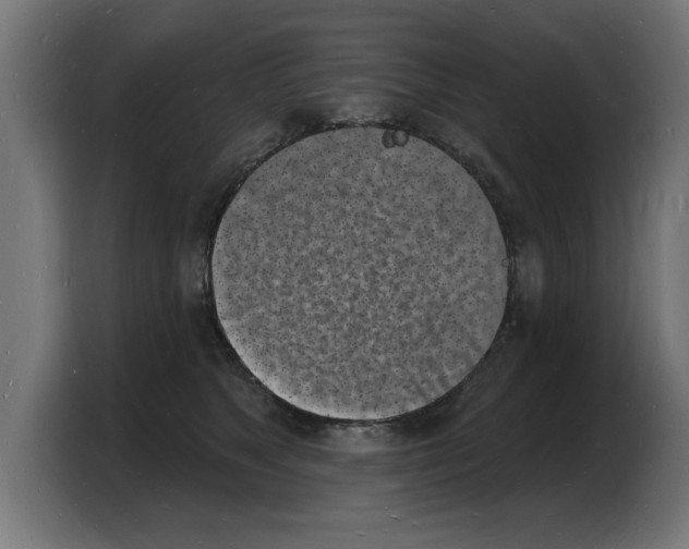 X0000103970517200810311527