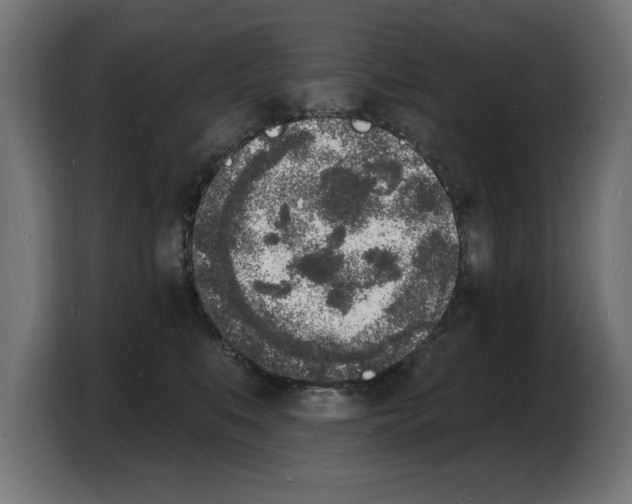 X0000103970519200810311527