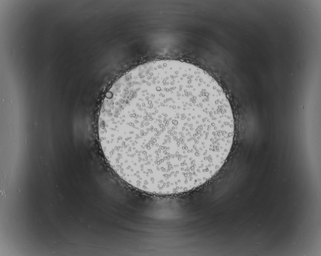 X0000103970520200810311527