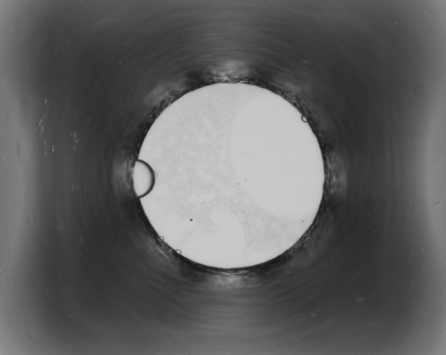 X0000103970523200810311527