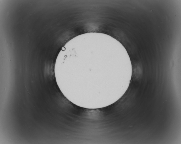 X0000103970525200810311527