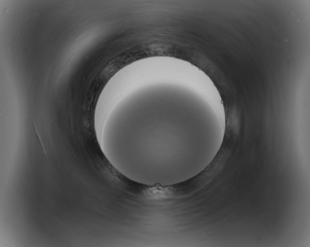 X0000103970526200810311527