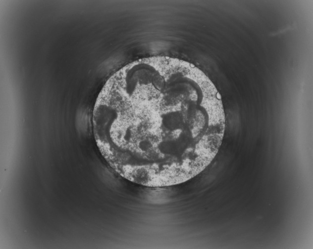 X0000103970527200810311527