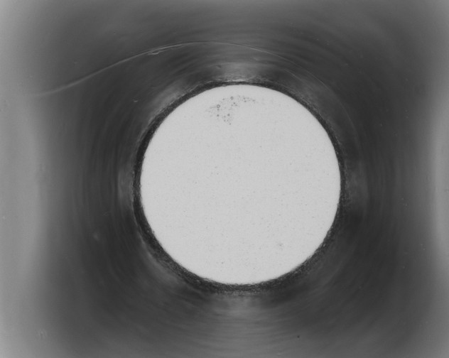 X0000103970530200810311526