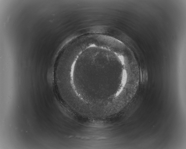 X0000103970531200810311526