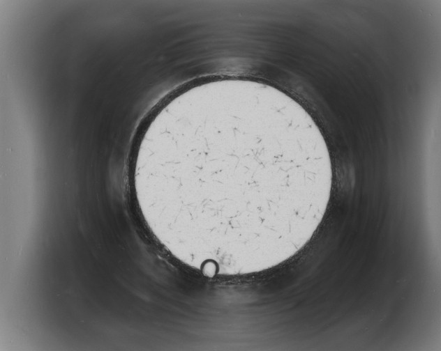 X0000103970532200810311526