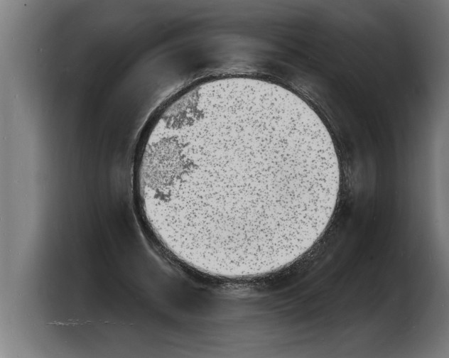 X0000103970534200810311526