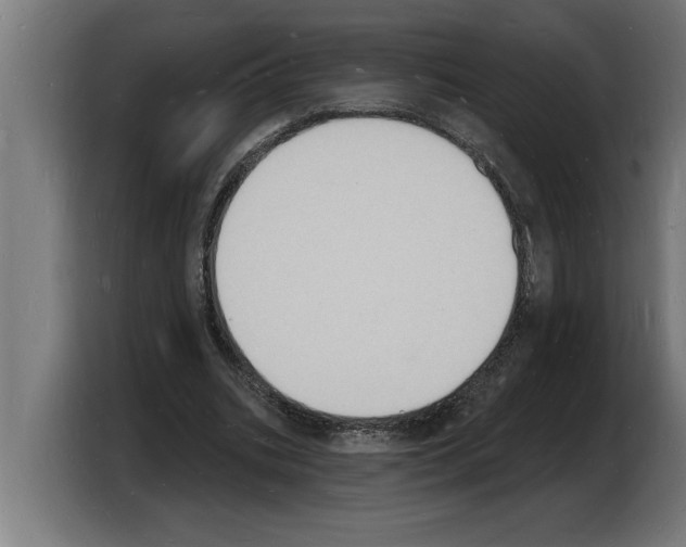 X0000103970535200810311526