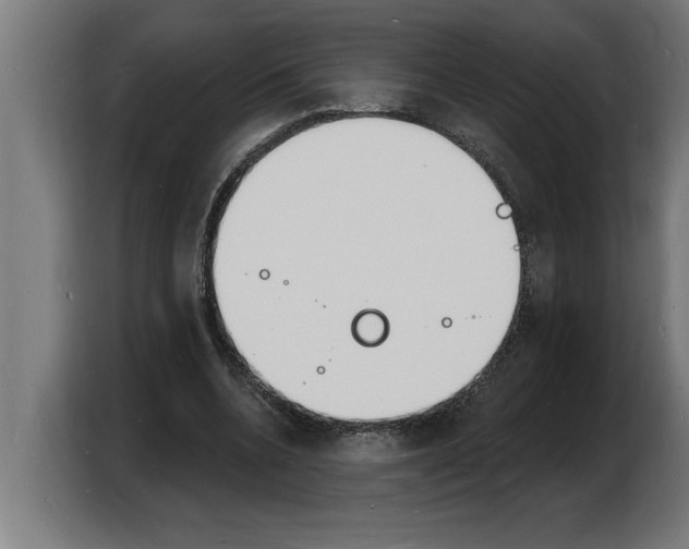 X0000103970536200810311526