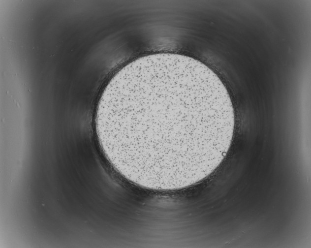 X0000103970538200810311526