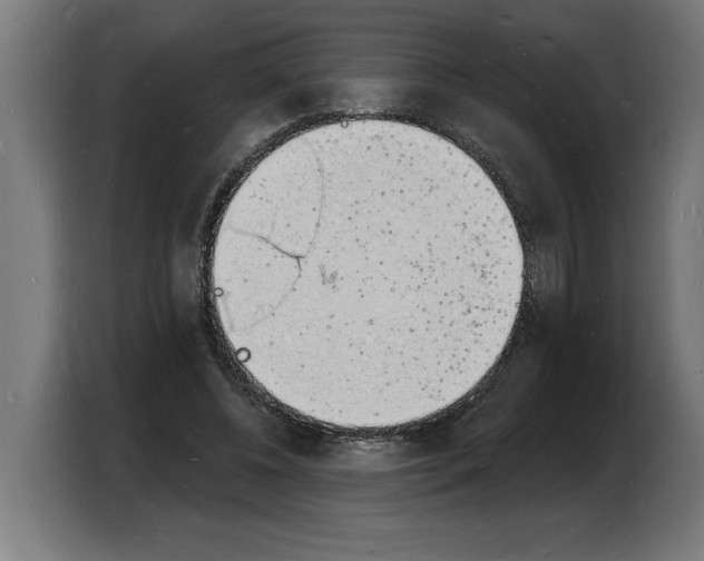 X0000103970540200810311526