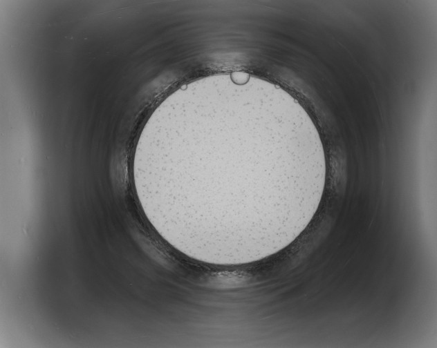 X0000103970541200810311526