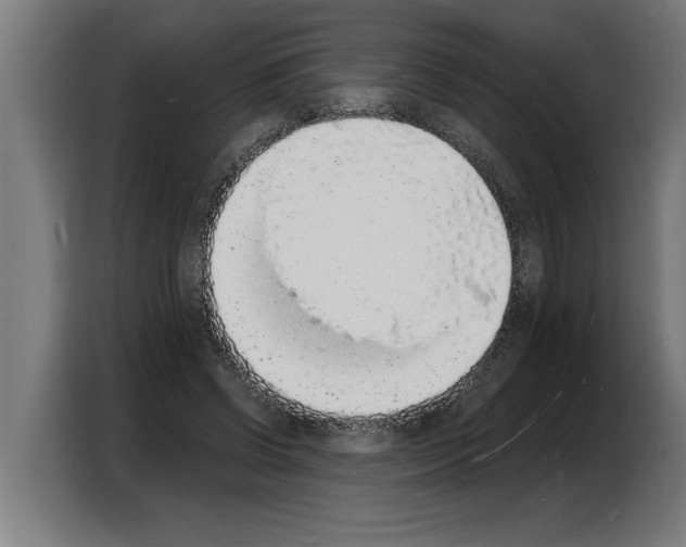 X0000103970542200810311526