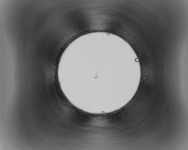 X0000103970544200810311526