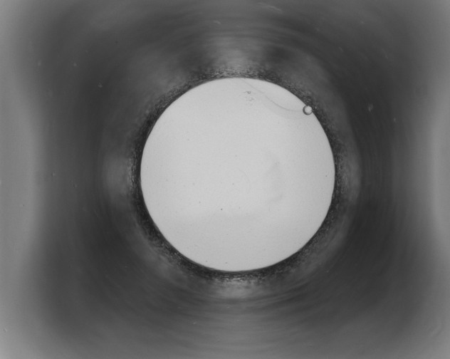 X0000103970546200810311526