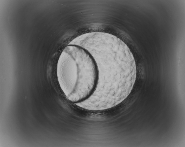 X0000103970550200810311526
