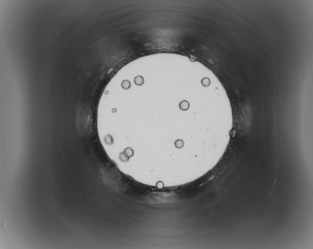 X0000103970552200810311526