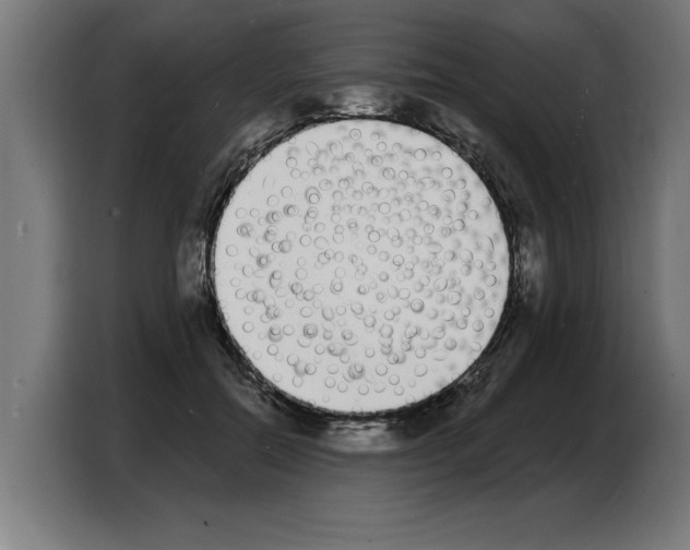 X0000103970554200810311526