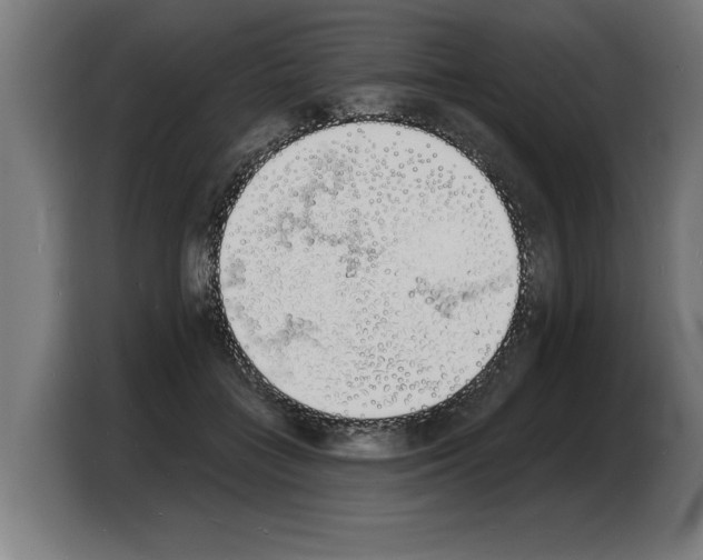 X0000103970555200810311526