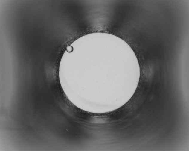 X0000103970556200810311526