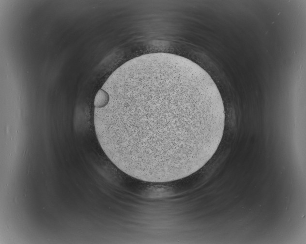 X0000103970557200810311526
