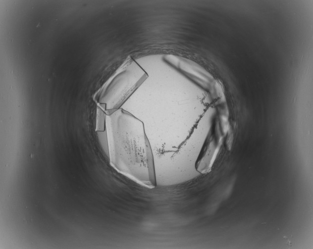 X0000103970558200810311527
