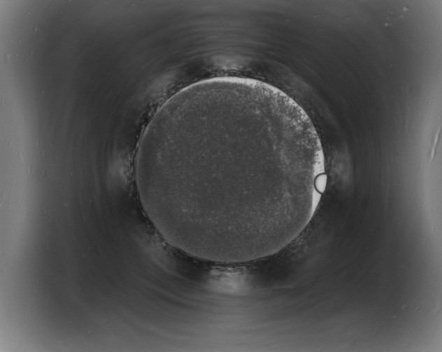 X0000103970559200810311527