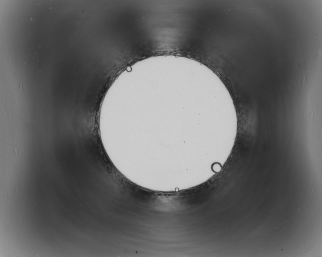 X0000103970560200810311527