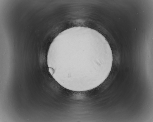 X0000103970561200810311527
