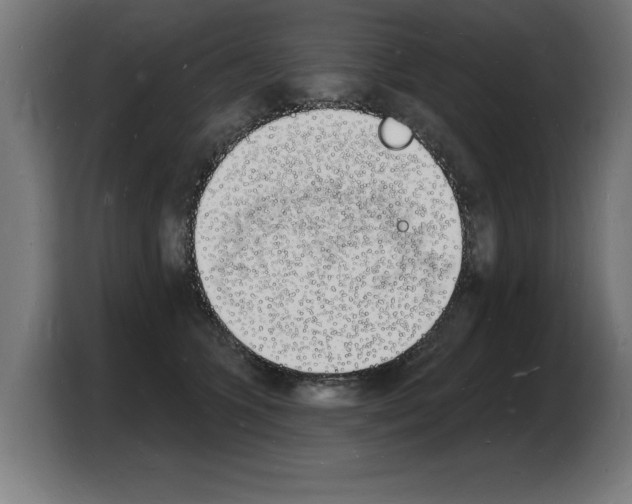 X0000103970563200810311527