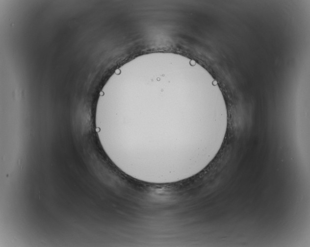 X0000103970564200810311527