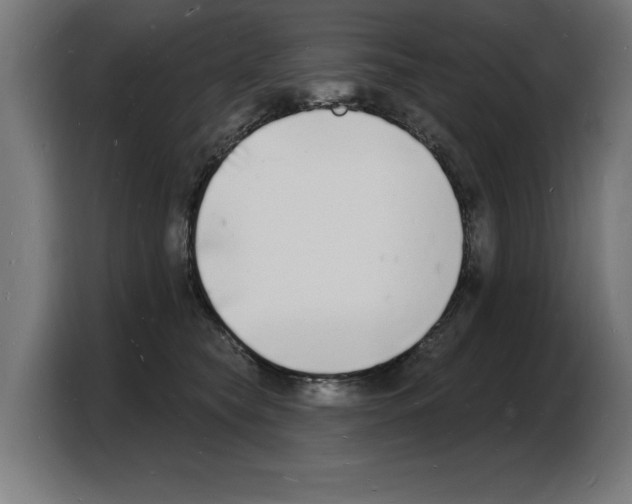 X0000103970565200810311527