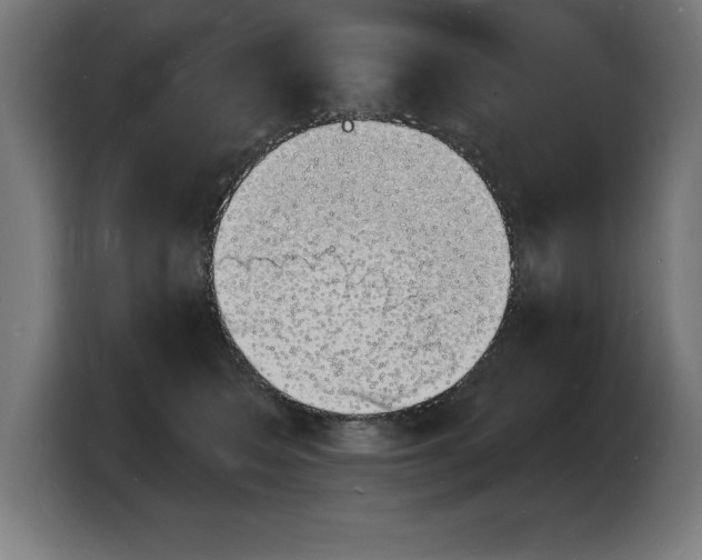 X0000103970566200810311527