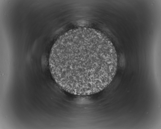 X0000103970569200810311527