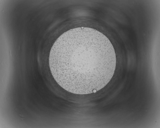 X0000103970570200810311527