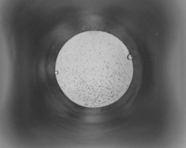X0000103970576200810311527