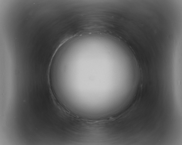 X0000103970579200810311526