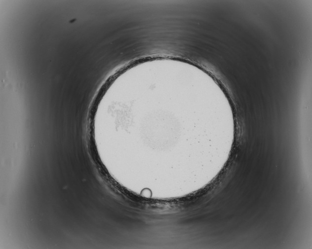 X0000103970580200810311526