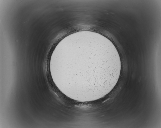 X0000103970582200810311526