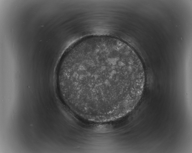 X0000103970584200810311526