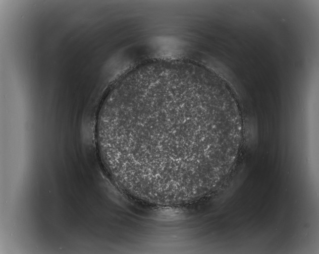 X0000103970585200810311526