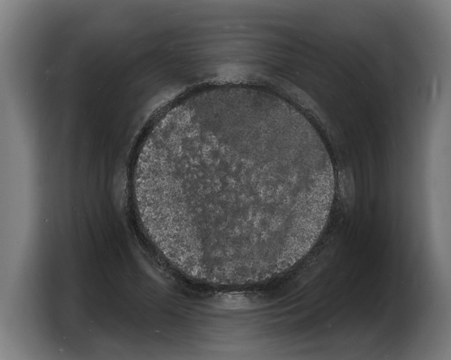 X0000103970588200810311526