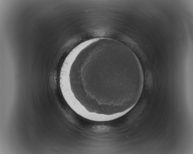 X0000103970590200810311526