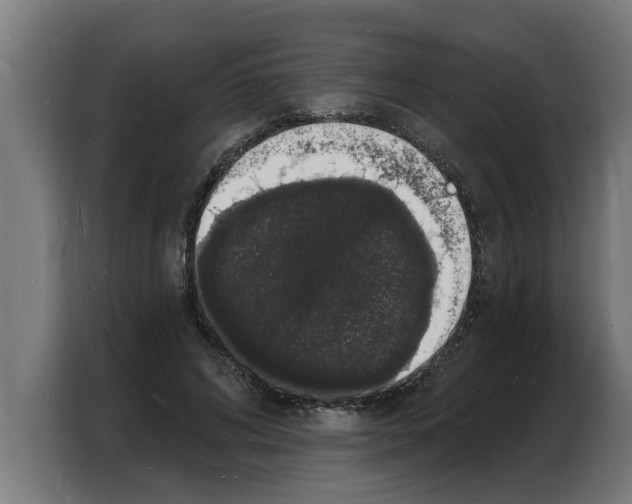 X0000103970592200810311526