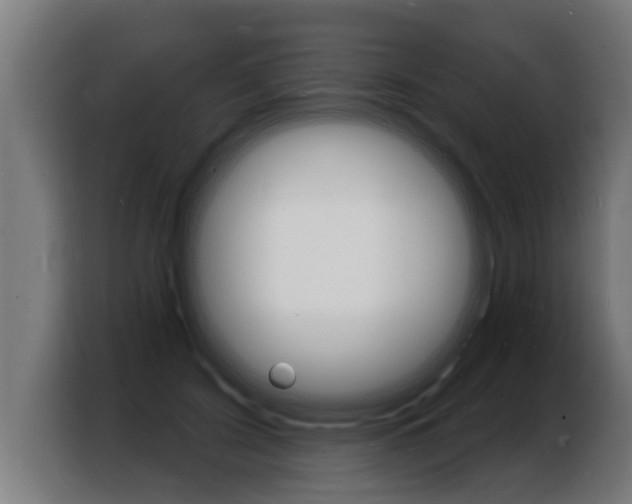 X0000103970595200810311526