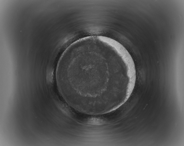 X0000103970596200810311526