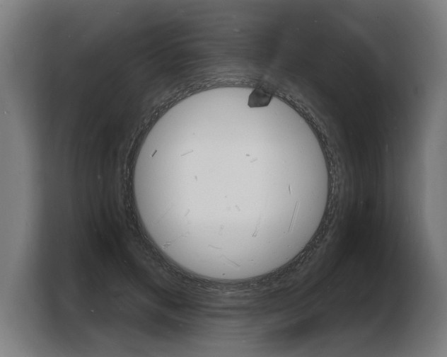 X0000103970597200810311526