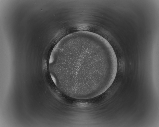 X0000103970598200810311526
