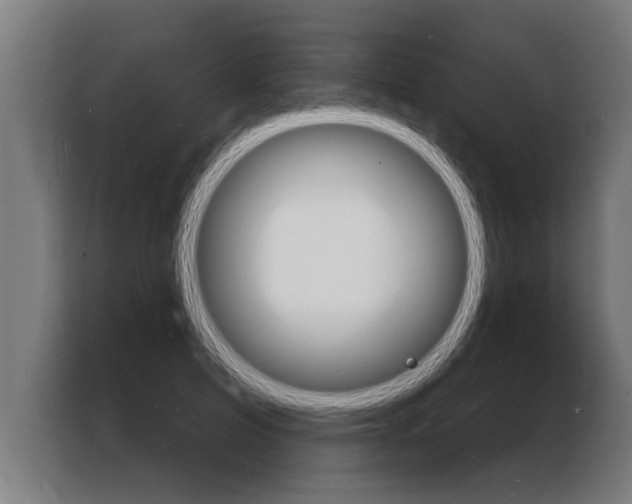 X0000103970599200810311526