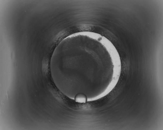 X0000103970600200810311526
